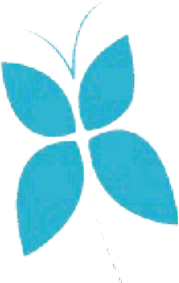 Abstract blue flower petals arranged in a symmetrical pattern.